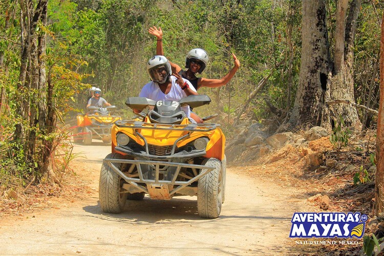 ATVs_1