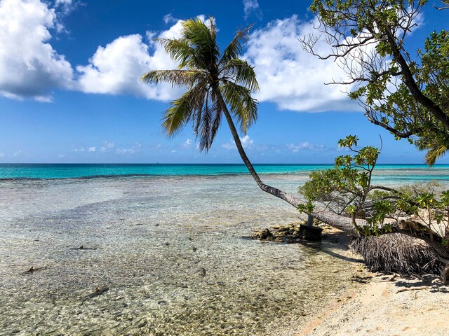 reef-rangiroa-island